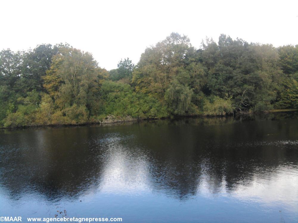 Vue de l\'étang Vue de l\'étang