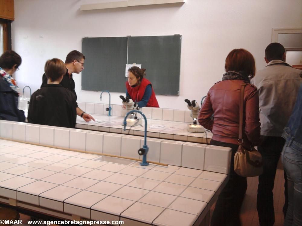 Salle de travaux pratiques Salle de travaux pratiques