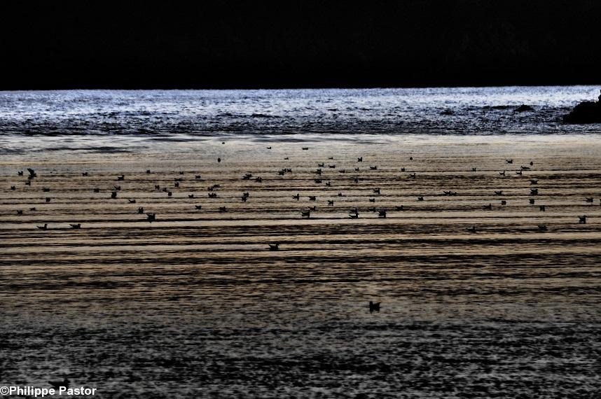 Une photo de Philippe Pastor pour l\'exposition et le livre Lunamer (coll. du photographe).