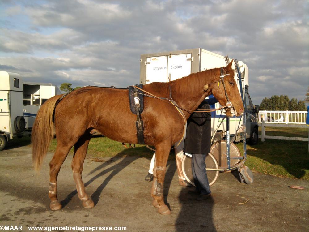 Umbre d\'or va renter dans son van Umbre d\'or va renter dans son van