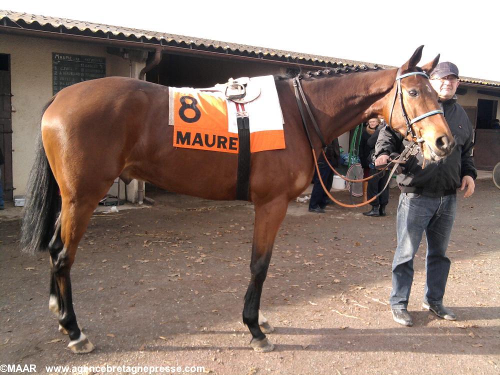 Gold glitter au paddock Gold glitter au paddock