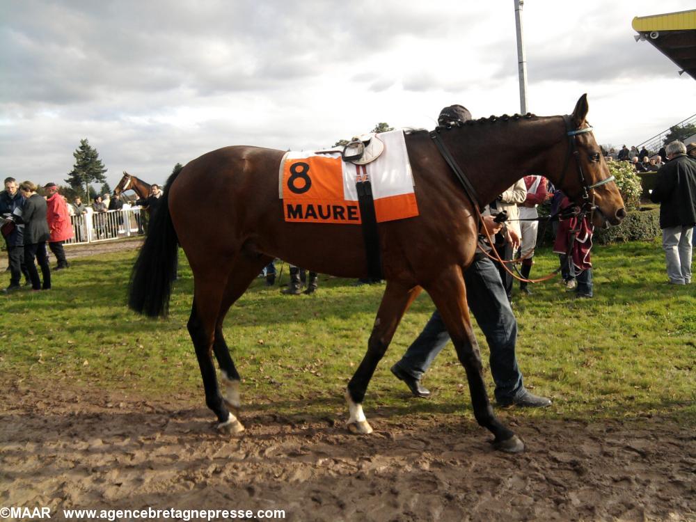 Gold glitter dans le rond de présentation Gold glitter dans le rond de présentation