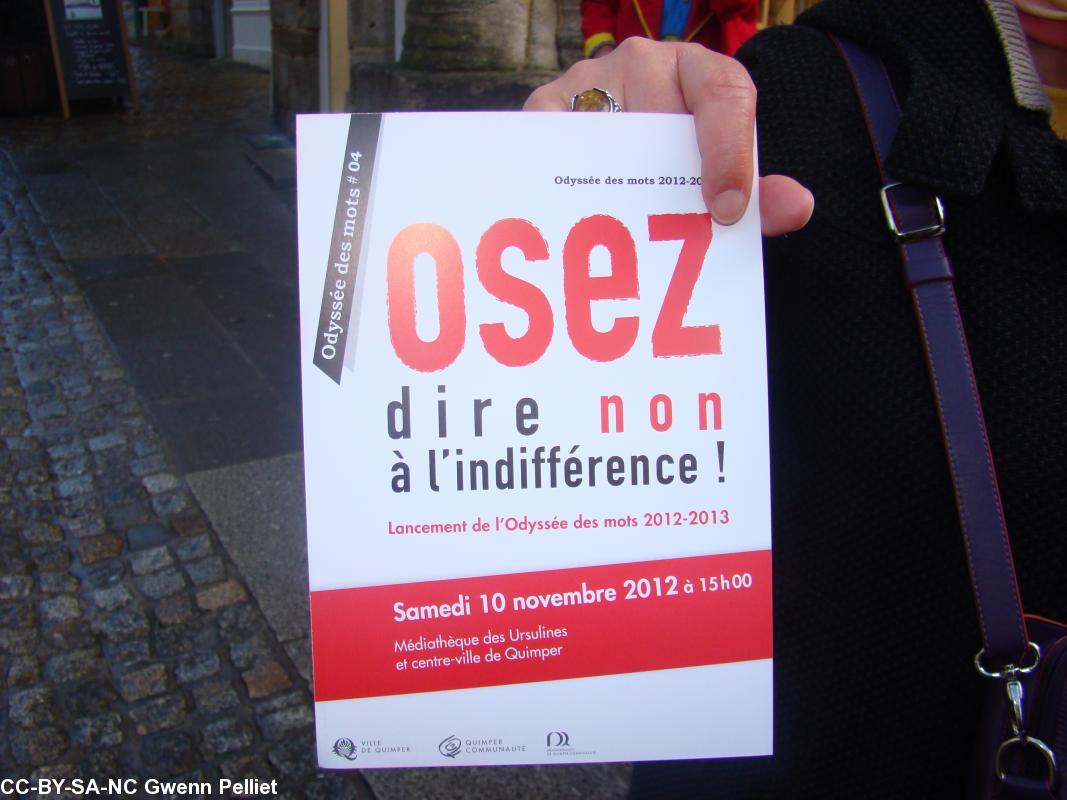 Campagne d\'ouverture de \"Non à l\'Indifférence\" dans 
les rues de Quimper en novembre 2012