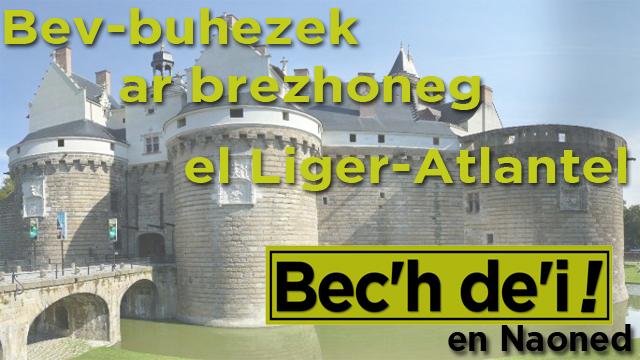 Bec\'h De\'i en Naoned : abadenn enlinenn
Bec\'h De\'i à Nantes : émission en ligne