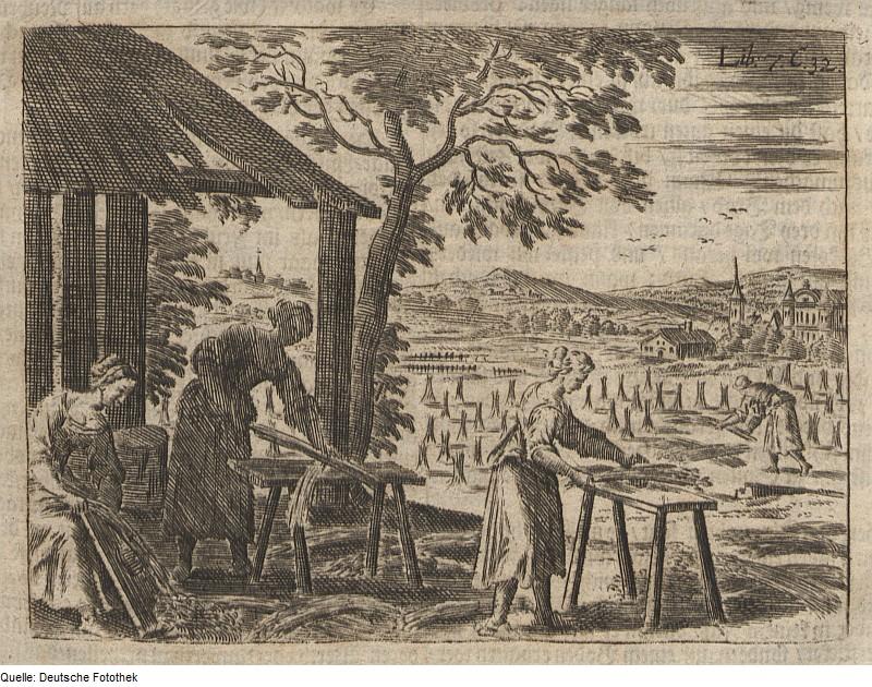 Récolte et travail du chanvre. Gravure sur cuivre de 1695. In “Landwirtschaft & Ackerbau & Pflanzenverarbeitung” de Wolf Helmhardt von Hohberg (Agriculture et élevage et les usines de transformation). Récolte et travail du chanvre. Gravure sur cuivre de 1695. In “Landwirtschaft & Ackerbau & Pflanzenverarbeitung” de Wolf Helmhardt von Hohberg (Agriculture et élevage et les usines de transformation).