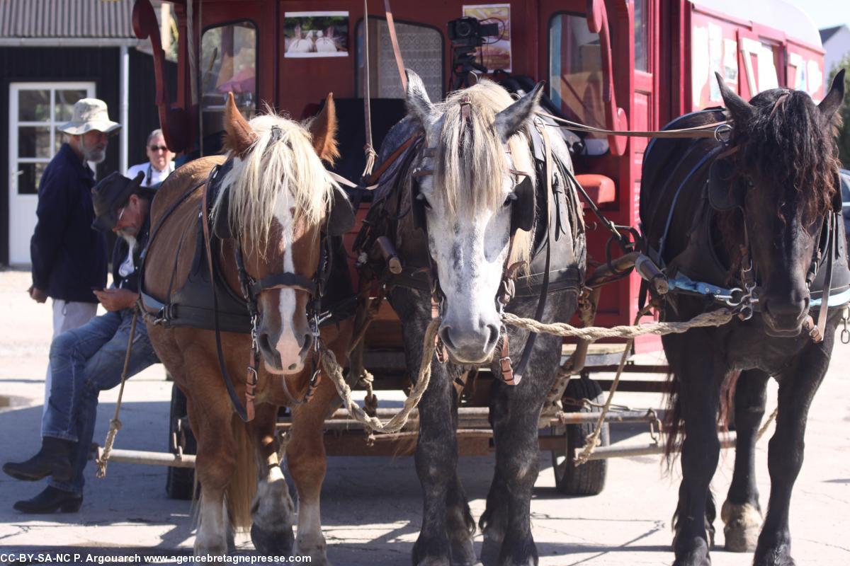 À Camaret les trois juments de Clémence de Villecourt. À Camaret les trois juments de Clémence de Villecourt.