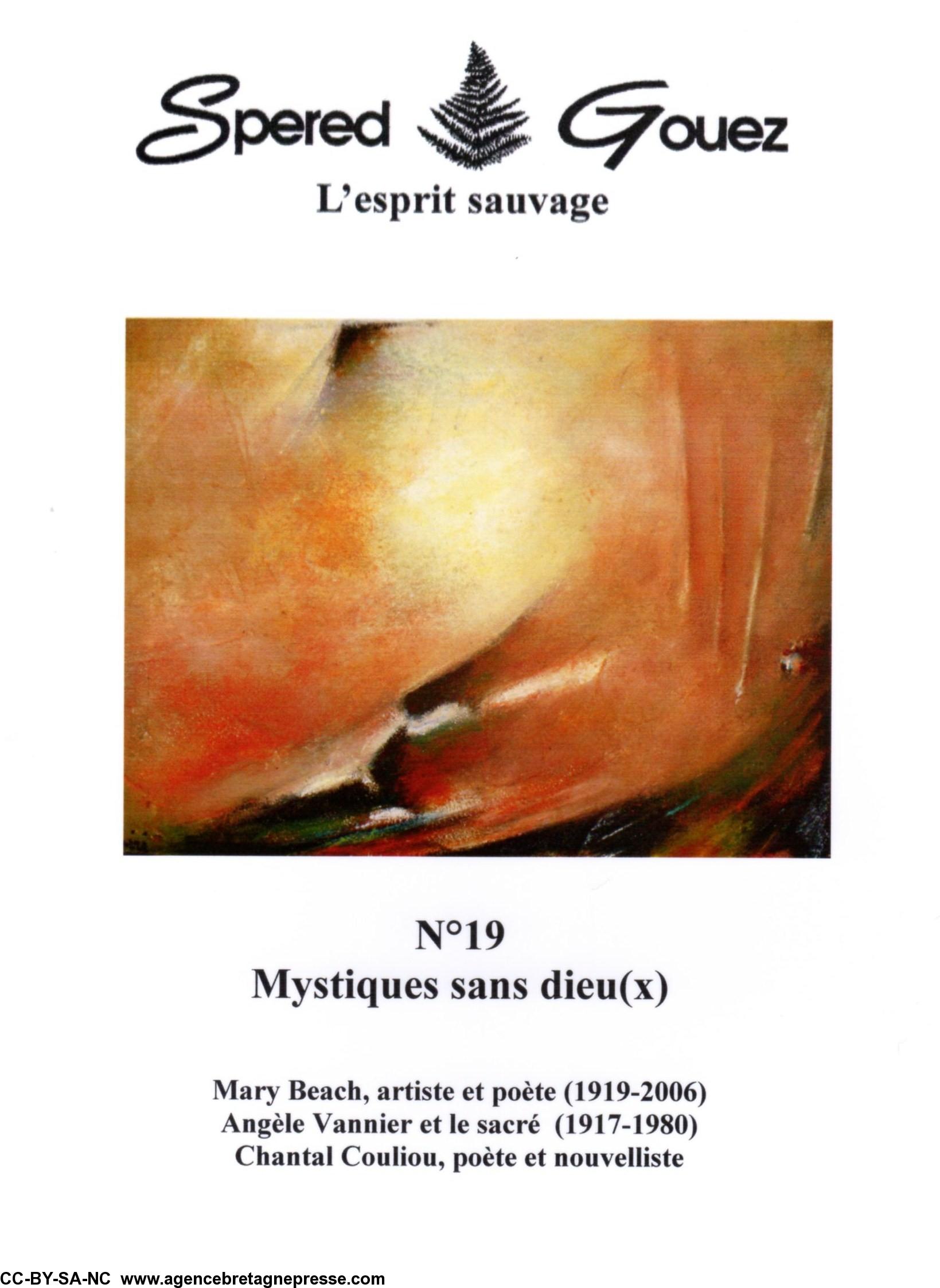 Visuel de couverture, peinture de Paul Quéré