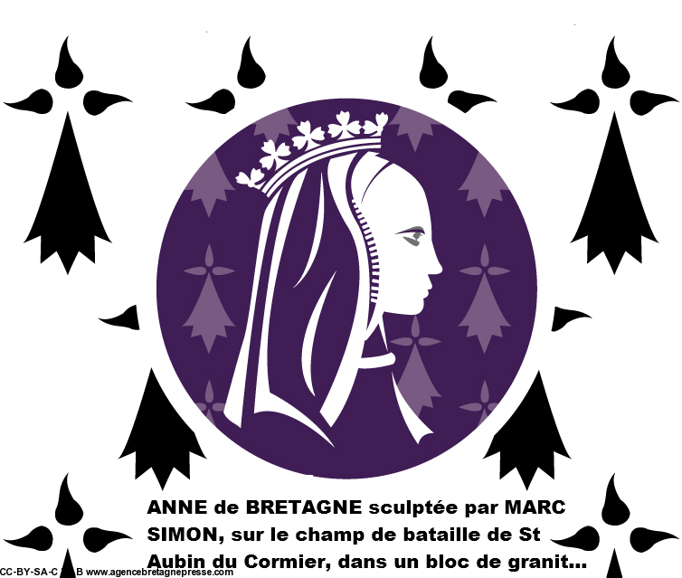 Les couleurs du Comité Anne de Bretagne 2014 dont MAB est membre fondateur...