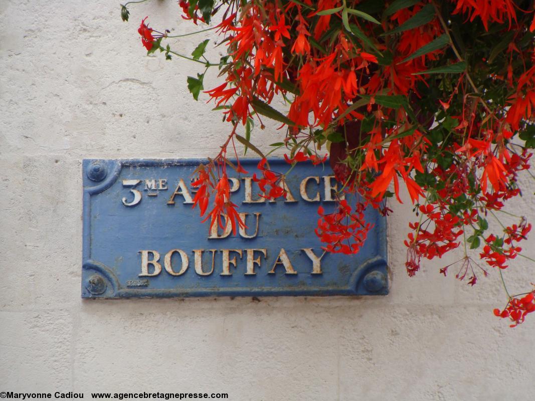 Des fuchsias (et des géraniums) suspendus à Nantes. 1er septembre 2011. Des fuchsias (et des géraniums) suspendus à Nantes. 1er septembre 2011.