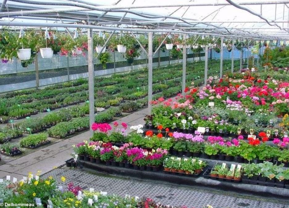 La serre Delhommeau à La Planche. La serre Delhommeau à La Planche.