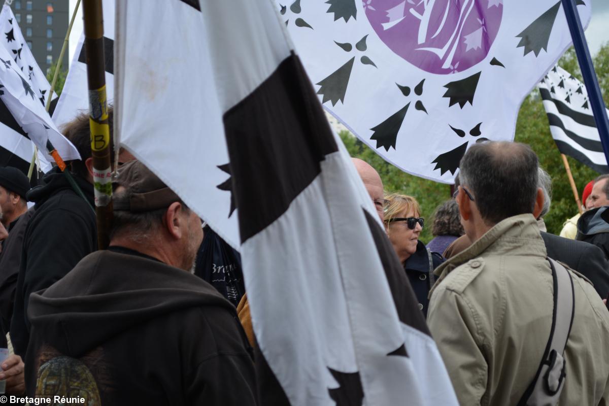 Rassemblement devant l'hôtel de Région des Pays de la Loire le 13 mai 2014 à Nantes. Avec la bannière Anne de Bretagne.
