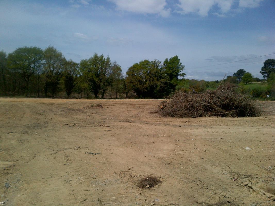 Tréalvé, Saint-Avé