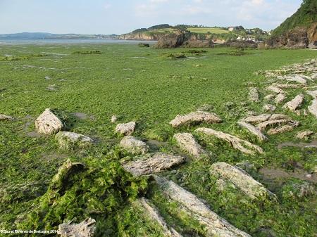 Attention cette photo n'est pas un trucage, elle a bien été prise en 2014 !