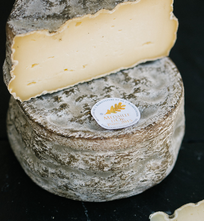 Photo réalisée pour l'exposition "Portraits de lauréats" par Alice Bertrand au GAEC de la Sablonnière (Guipry)