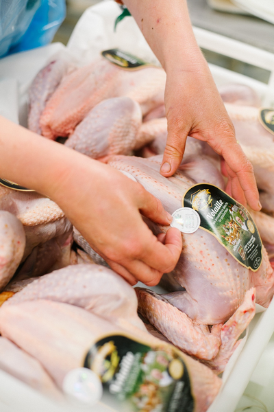 Photo réalisée par Alice Bertrand pour l'exposition "Portraits de Lauréats" au GAEC le Clos du Moulin (Mauron)