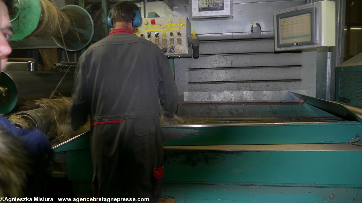 une de étapes du production le lin