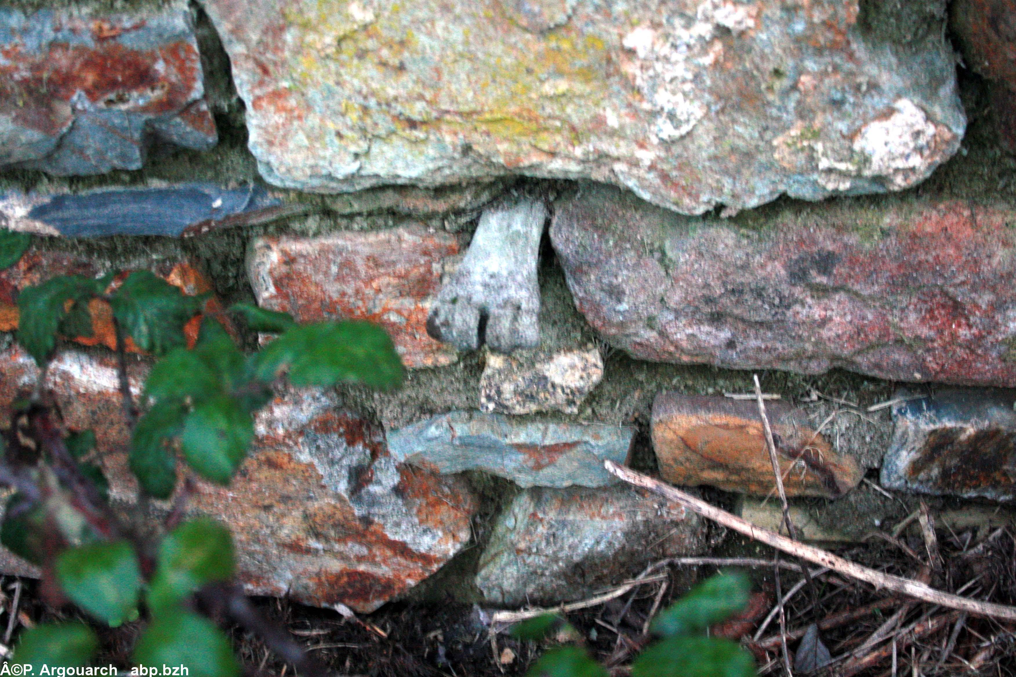 Fémur humain inseré dans le mur d'enceinte de l'ancien couvent des Trinitaires provenant de la profanation des tombes.