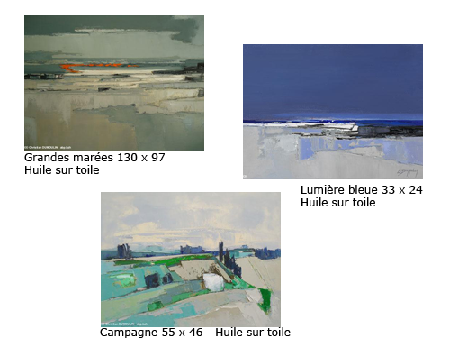 3 toiles de Christian DUMOULIN