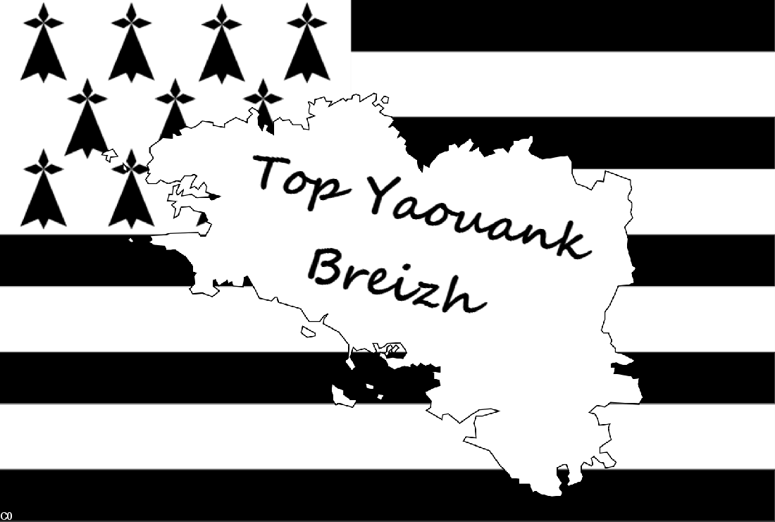 Logo "Top Yaouank Breizh"