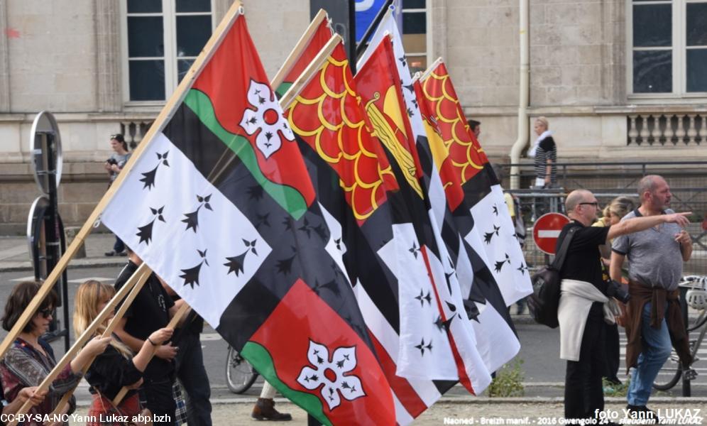 Breizh Manif 2016 e Naoned. Breizh Manif 2016 e Naoned.