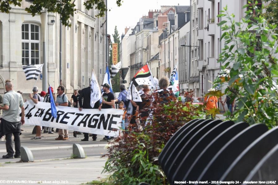 Breizh Manif 2016 e Naoned. Breizh Manif 2016 e Naoned.