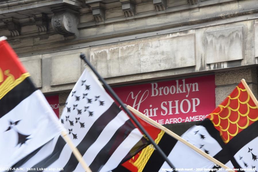 Breizh Manif 2016 e Naoned. Breizh Manif 2016 e Naoned.