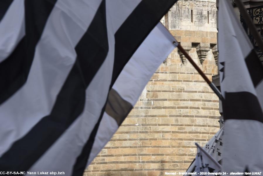 Breizh Manif 2016 e Naoned. Breizh Manif 2016 e Naoned.