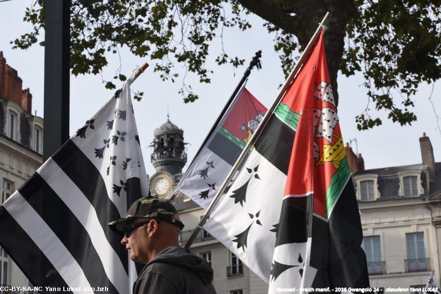 Breizh Manif 2016 e Naoned. Breizh Manif 2016 e Naoned.