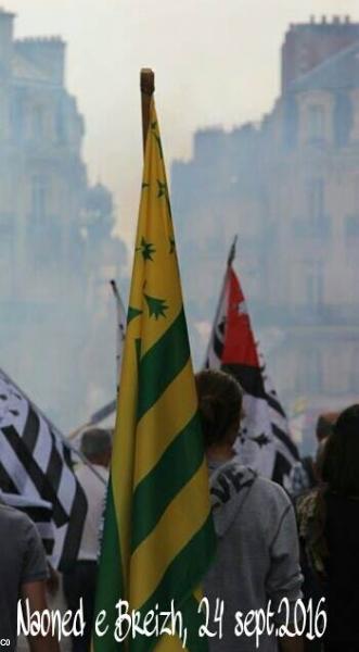 Naoned e Breizh, Breizh Manif du 24 sept.2016
