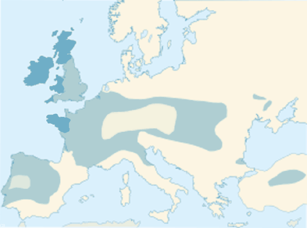 Breizh hag ar bed keltiek en Europa