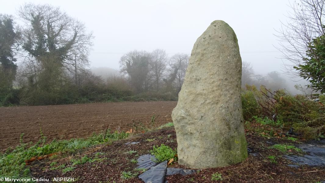 87- Le lendemain le brouillard était revenu (ph. vers 13 h). 87- Le lendemain le brouillard était revenu (ph. vers 13 h).