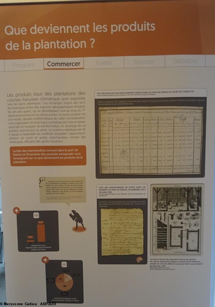 25 Commercer. Que deviennent les produits de la plantation ? (panneau 3). 25 Commercer. Que deviennent les produits de la plantation ? (panneau 3).