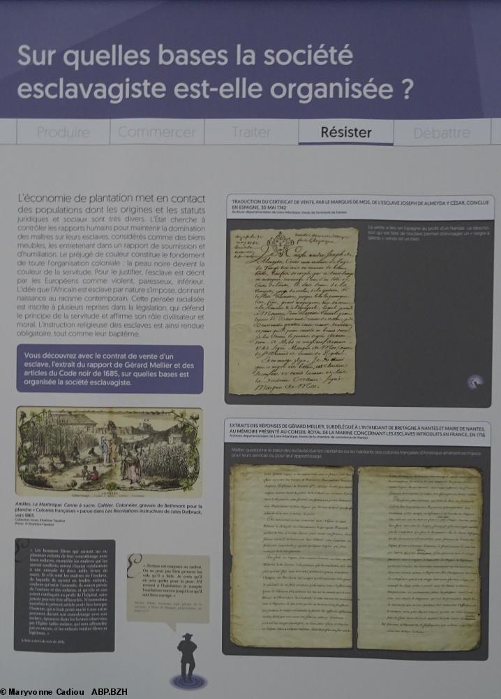 31 Résister. Sur quelles bases la société esclavagiste est-elle organisée ? (panneau 11). 31 Résister. Sur quelles bases la société esclavagiste est-elle organisée ? (panneau 11).