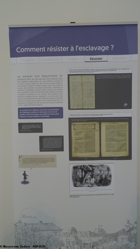 33 Résister. Comment résister à l'esclavage ? (panneau 13). 33 Résister. Comment résister à l'esclavage ? (panneau 13).