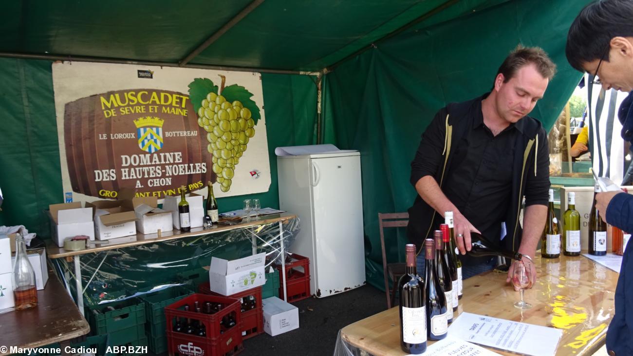 11- Domaine des Hautes Noëlles, A. Chon (Château-Thébaud). 11- Domaine des Hautes Noëlles, A. Chon (Château-Thébaud).