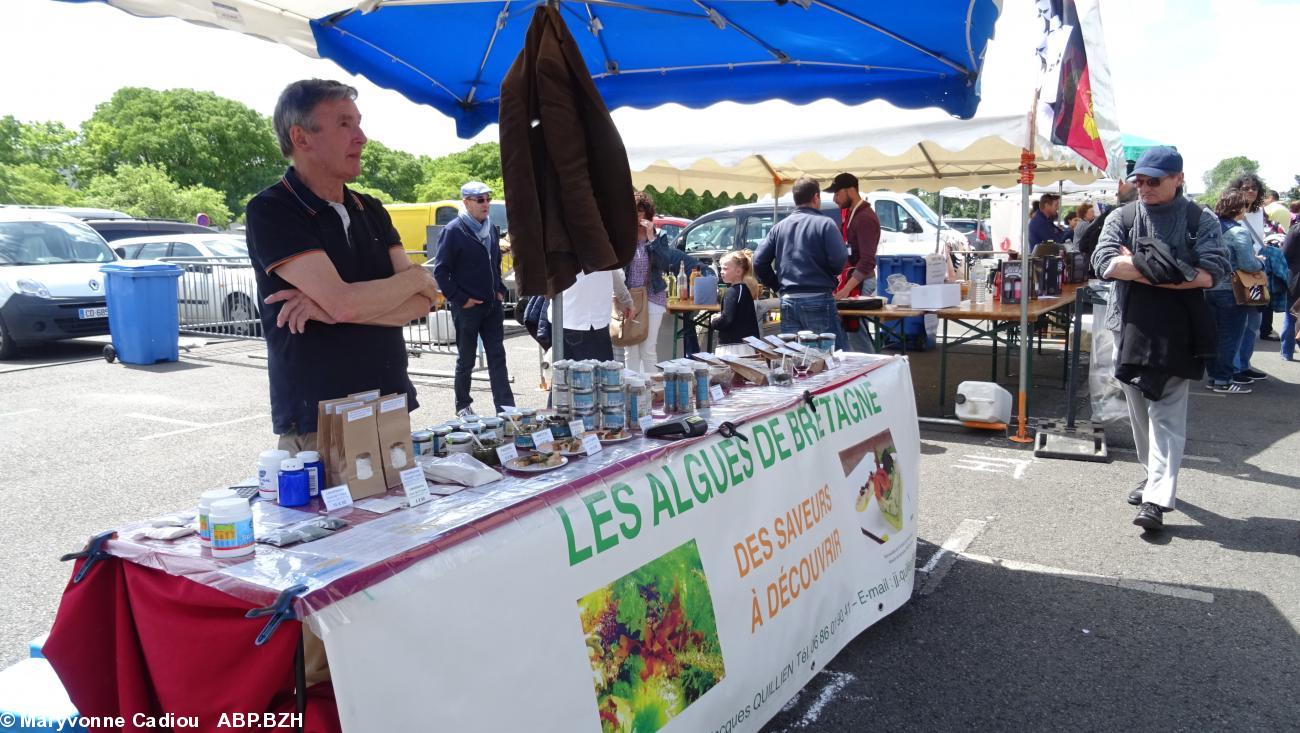 33- Algues de Bretagne de Jean-Jacques Quillien. 33- Algues de Bretagne de Jean-Jacques Quillien.