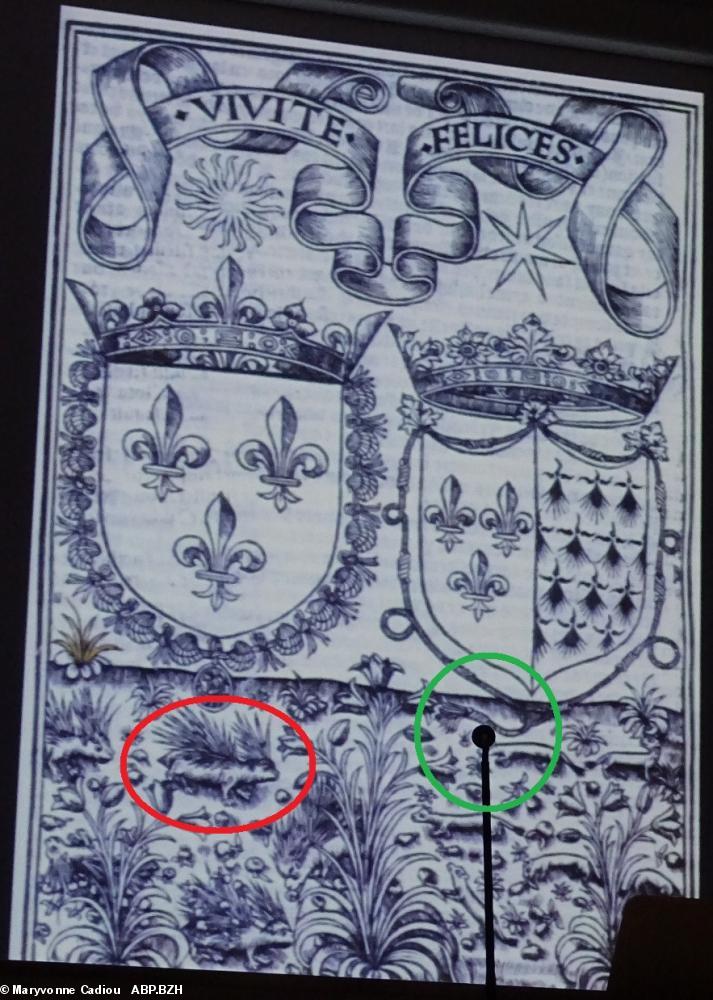 13-2- Frontispice d'un livre imprimé de 1510. Le porc-épic de Louis XII, la cordelière d'Anne. 13-2- Frontispice d'un livre imprimé de 1510. Le porc-épic de Louis XII, la cordelière d'Anne.