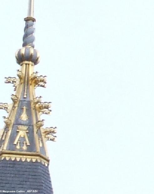 28- Nantes. Un A et hermine sur le clocher doré du château. 28- Nantes. Un A et hermine sur le clocher doré du château.