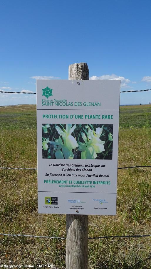 38- Panneau du narcisse de la Réserve. 38- Panneau du narcisse de la Réserve.