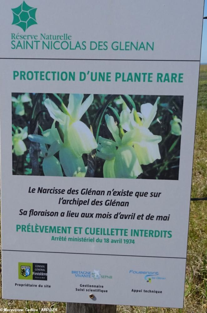 39- Zoom sur le panneau. 39- Zoom sur le panneau.