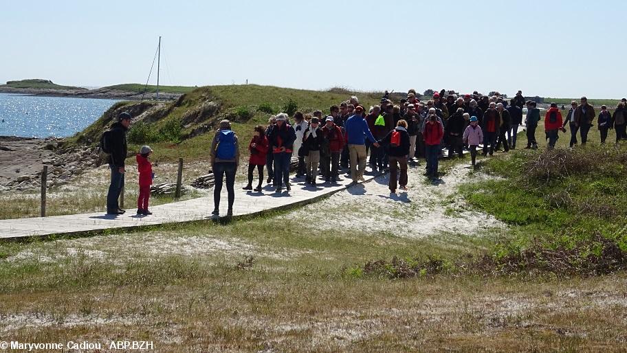 43- Le groupe ICB. 43- Le groupe ICB.