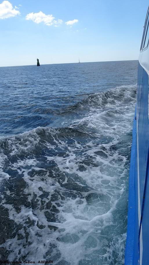 4- La balise verte à laisser à bâbord en sortant. 4- La balise verte à laisser à bâbord en sortant.