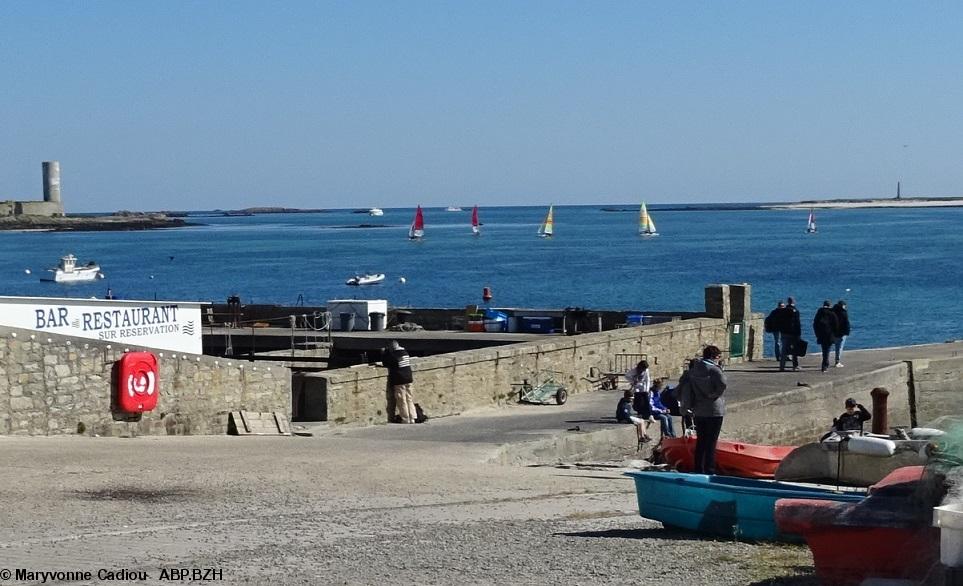 56- Les Viviers sont-ils toujours utilisés ? (Voir dans le texte). 56- Les Viviers sont-ils toujours utilisés ? (Voir dans le texte).