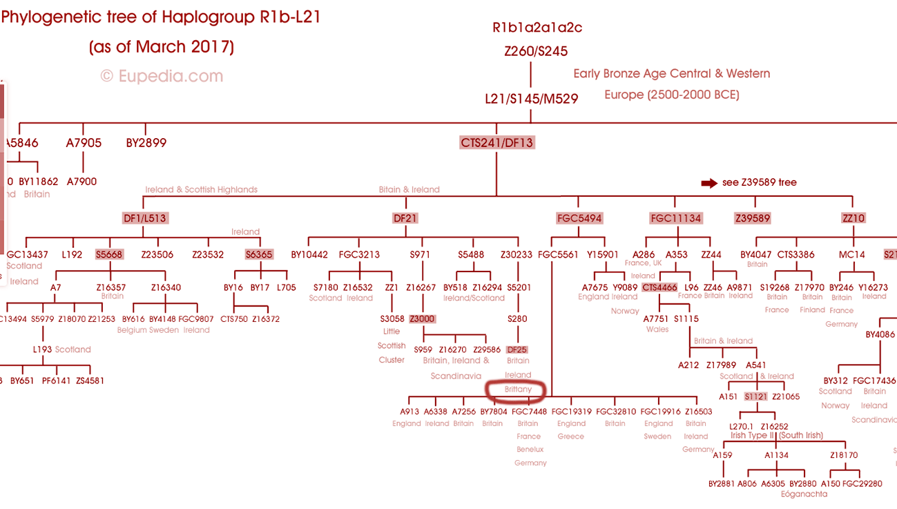 Partie extraite de la carte phylogenetic de Eupedia pour le haplogroupe R1b-L1. voir eupedia.com pour la carte compète ainsi que la carte du haplogroupe proto celte R1 qui couvre toute l'Europe et va jusqu'en Chine avec une source ou une extension en Afrique noire.