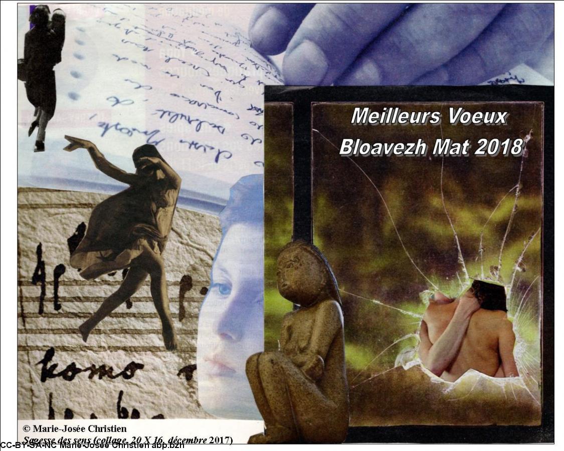 Sagesse des sens, collage de Marie-Josée Christien