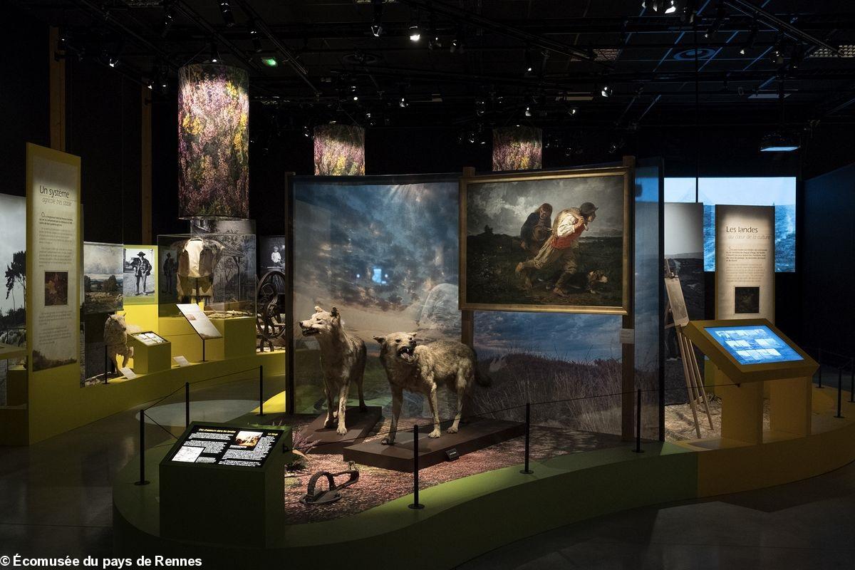 Vue de l'exposition Landes de Bretagne, un patrimoine vivant.