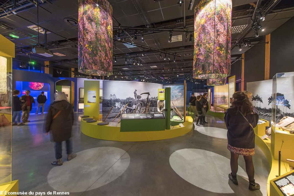 Vue de l'exposition Landes de Bretagne, un patrimoine vivant.