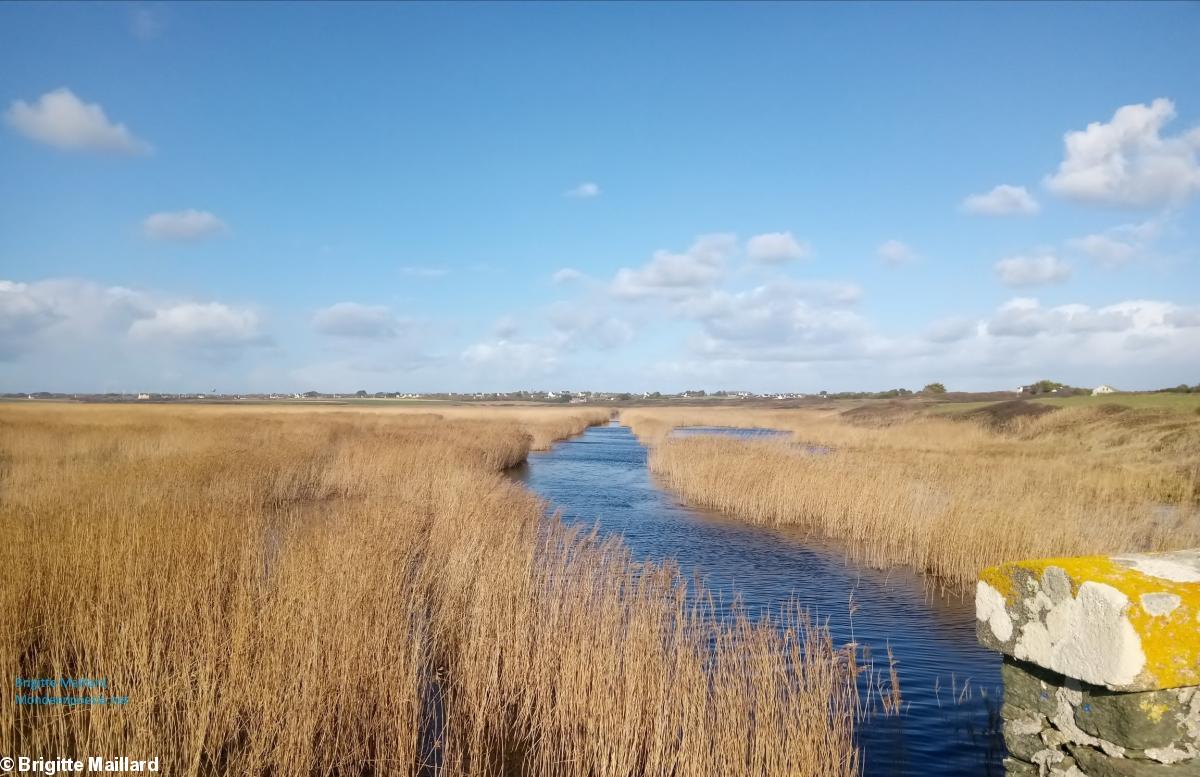 Rencontre poétique Médiathèque des Ursulines Quimper