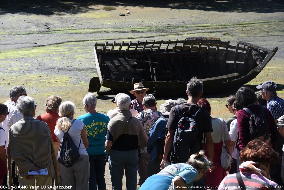 Ar strollad e penn-kentañ an droiadenn