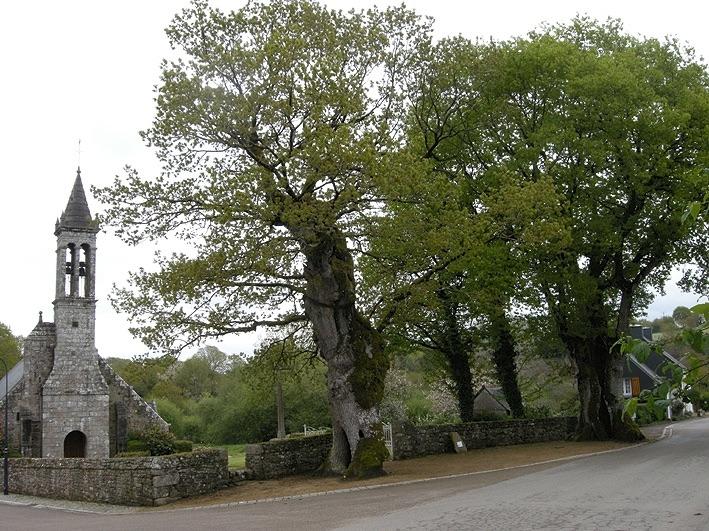 les deus chênes et l'église